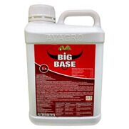 Big Base 5л аминокислоты животного происхождения