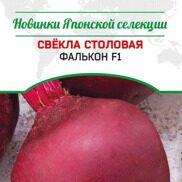 Свёкла столовая Фалькон F1